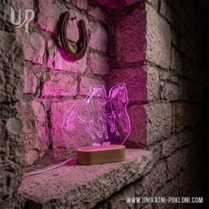 Poklon za Ljubitelje Konja - Personalizirana LED lampa 12 dar za vlasnika konja