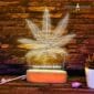 hemp lampa