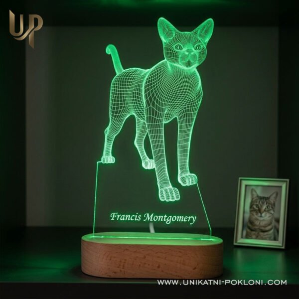 Poklon za ljubitelje mačaka- Personalizirana LED lampa - Unikatni Pokloni Moja mačka na lampi